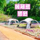 청정요양병원