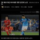 메르카토 이미지