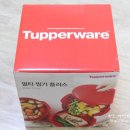 타파웨어 아이비 네이버블로그