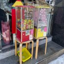 THE뽑기샵 | 대전 소품샵 프렐류드 The prelude shop 꿈돌이 스티커 마스킹테이프 맛집 후기