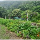 귀빈펜션 이미지