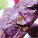 신해남농장 이미지