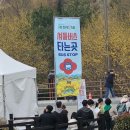 31140-8-26-15 | (3월가볼만한곳) 구례산수유축제 26년 3월 15일 실방문 후기 | 주차, 반곡마을 상위마을 개화율, 방문팁...