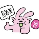 조코제주똥돼지 이미지