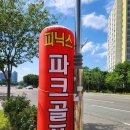 에이스골프클럽 | 포항 파크골프 피닉스 스타쉬 파크골프채 전문점 / 품질과 신뢰로 승부한다 에이스골프
