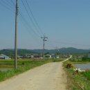 방어리 방지 이미지