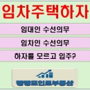 팡팡수선