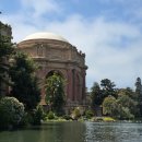 수팰리스 | 샌프란시스코 팰리스 오브 파인아트 후기 · 인생샷 명소 추천