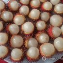 리치 이미지
