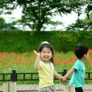 황룡강 꽃길 이미지