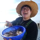 신안청정농수산