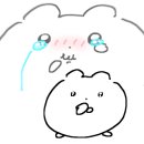 파파스치킨호프 이미지