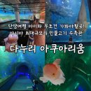 단양여행 필수코스 국내,아시아 최대규모의 민물고기 수족관 다누리아쿠아리움