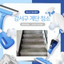 우장산동 | 강서구 우장산동 계단청소 빌라 상가 건물 원룸 아파트 화장실청소업체