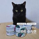 사조동아원 | 입 짧은 고양이도 싹 비우는 벤티 고양이주식캔