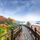 쉽게 다가가는 인문학 이미지