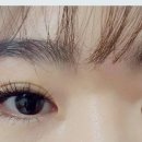 (학교)강릉초 이미지