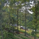 기찬자연휴양림 이미지