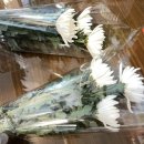 대국화원