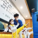 뿌리깊은나무태권도장 이미지