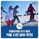 겨울방학에 하기 좋은 아르바이트, 뭐가 있을까?