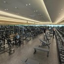 시그널짐 플레티넘 | 플래티넘급 시설, 옥정 시그널짐 헬스장 방문 후기