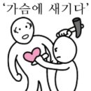 에이치앤에스 이미지