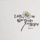 더마음모리 이미지