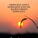 행복한아침 이미지