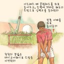 풀러프