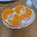 산채음식관 네이버블로그