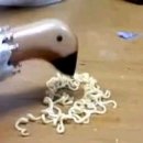 스시랑카