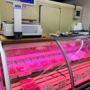 학성한우 이미지