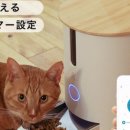 피더펫 이미지