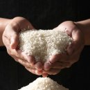 황산농협미곡처리장 이미지