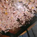 청춘포차부천중동점 이미지