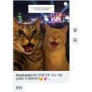 하이루씨(Hi,Lucy) | [5/30] 뷰민라 2026 후기🦋