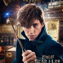 레드메인 | 영화 신비한 동물사전(2016) 후기 | 해리 포터 프리퀄, 실망 or 명작?