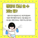 잼민이네