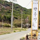 이모국시 | 포항 소바 맛집 반송정국시 시원한 메밀소바 제대로 먹고 온 후기