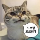 (9월에 올리는) 7/5 - 8/8 틈새일기 🧱🫧🧱