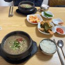 메이즈 뮤지엄 | 2월 겨울 바다 국내 여행 맛집 추천 - 2일차 [제주그밤, 우진해장국, 비자림, 메이즈랜드, 제주미친흑돈]
