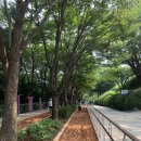 황송공원 (체육시설) 이미지