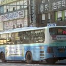 산호동257 이미지