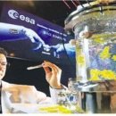 무진장태양광발전소 이미지