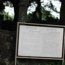 퐁낭동물병원 | [공항근처 커피집]애월커피집 병원가는길에 쓱