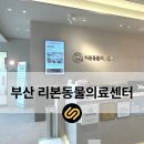 부산아이센터안과의원 | 부산 리본동물의료센터 노령묘 콩이, 안과 진료 후기