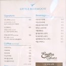 리틀 블루문 이미지