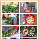 정성스레 이미지