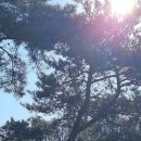 주산양만 - 고창군 | 주산양만